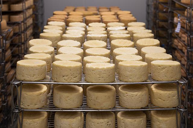 Tour d’horizon sur les fromages bretons
