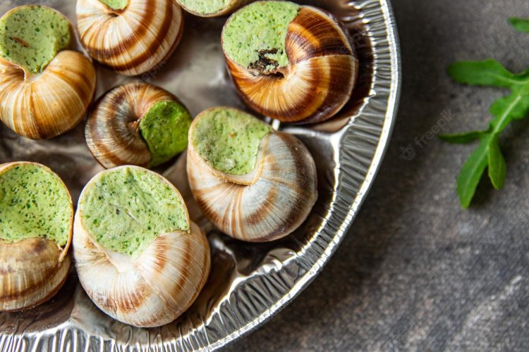 Les meilleures recettes d’escargots – pour une journée inoubliable